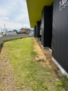 ボーボーだった庭の草刈りを行いました！