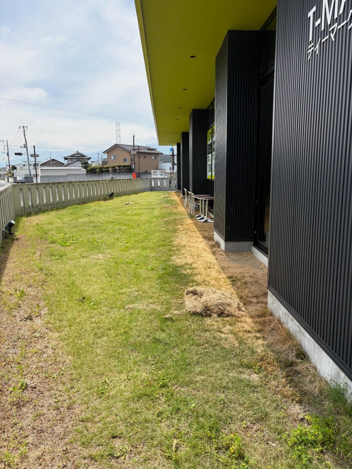 ボーボーだった庭の草刈りを行いました！