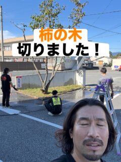 .
柿の木　バッサリ✂️

今日は、スタッフのみんなで
柿の木の剪定を行いしました☀️
スッキリ！綺麗になりました♪